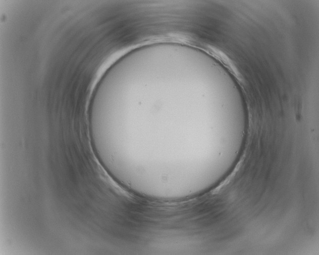 X0000071961184200607282026