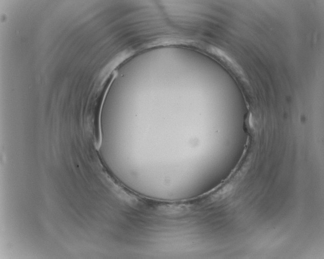 X0000071961185200607282025