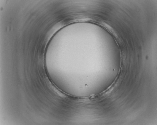 X0000071961186200607282025