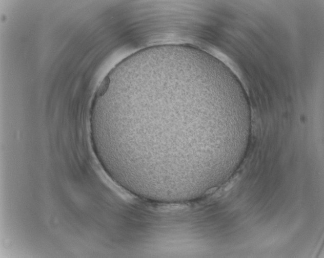 X0000071961187200607282025