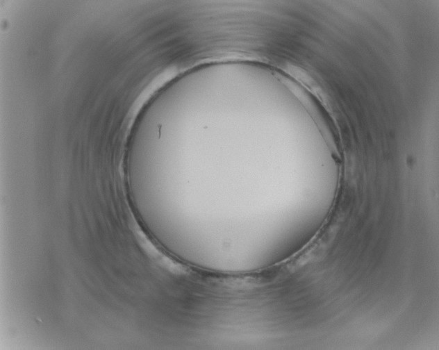 X0000071961189200607282025