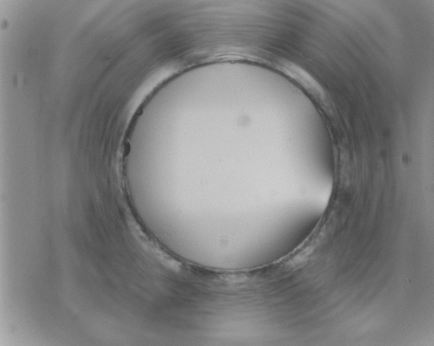 X0000071961190200607282025