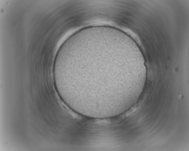 X0000071961191200607282025