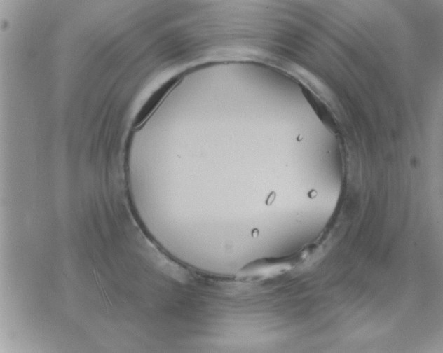 X0000071961192200607282025