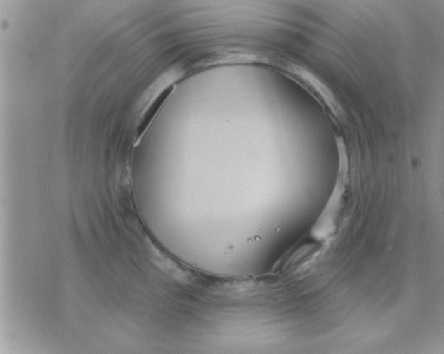 X0000071961193200607282025