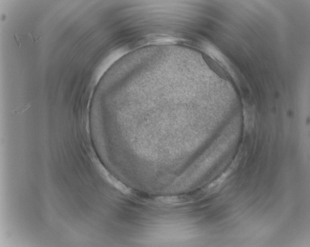 X0000071961194200607282025