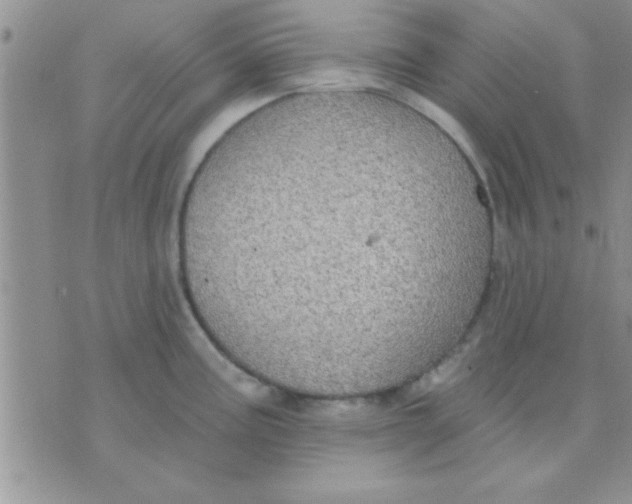 X0000071961195200607282025