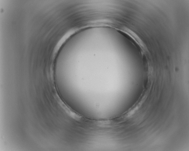 X0000071961196200607282025