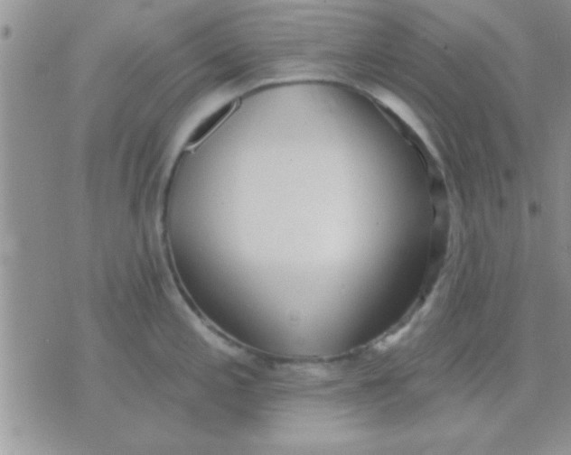 X0000071961197200607282025