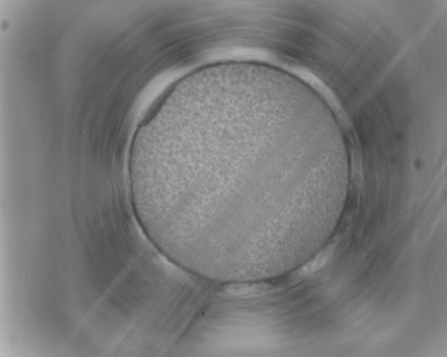 X0000071961199200607282025