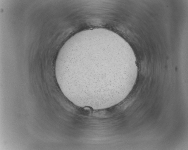 X0000071961201200607282024