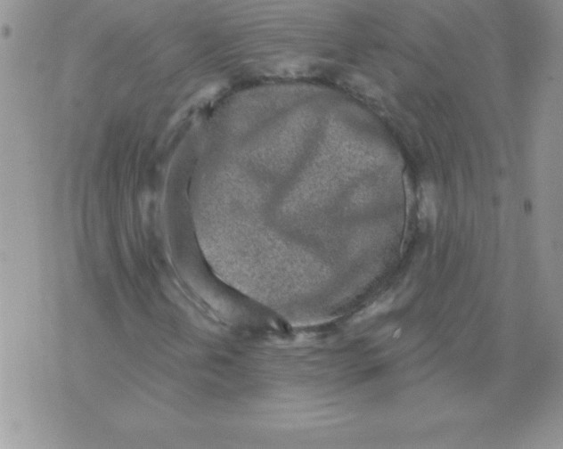 X0000071961202200607282024