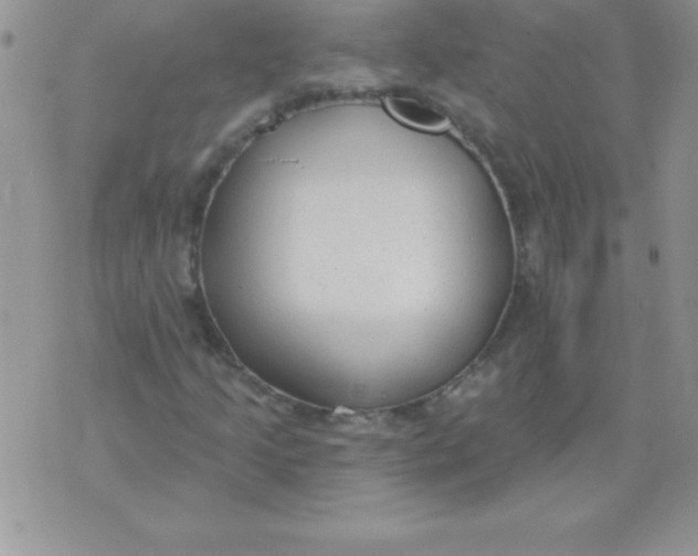 X0000071961205200607282025