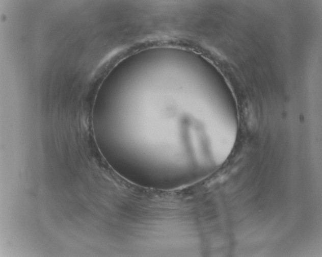 X0000071961206200607282025