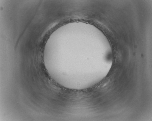 X0000071961207200607282025