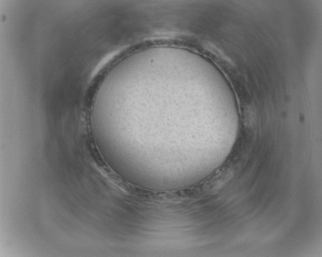 X0000071961208200607282025