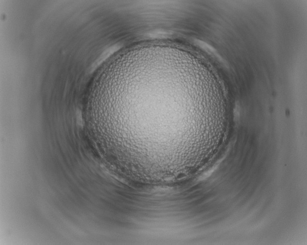 X0000071961209200607282025