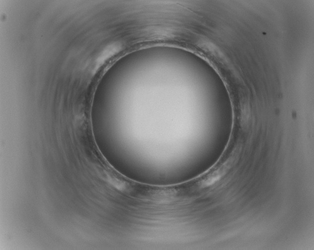 X0000071961210200607282025