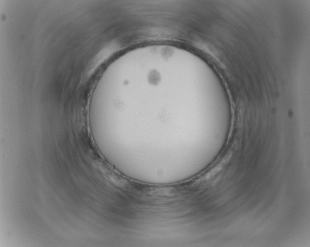 X0000071961211200607282025