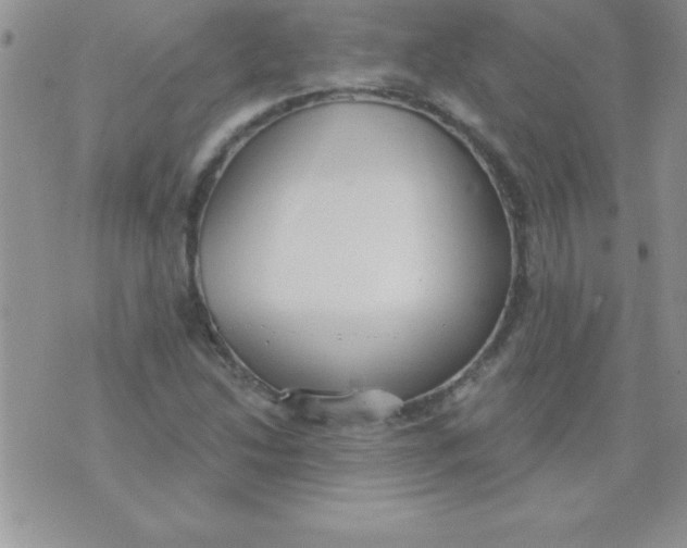 X0000071961214200607282025