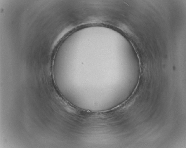 X0000071961216200607282025