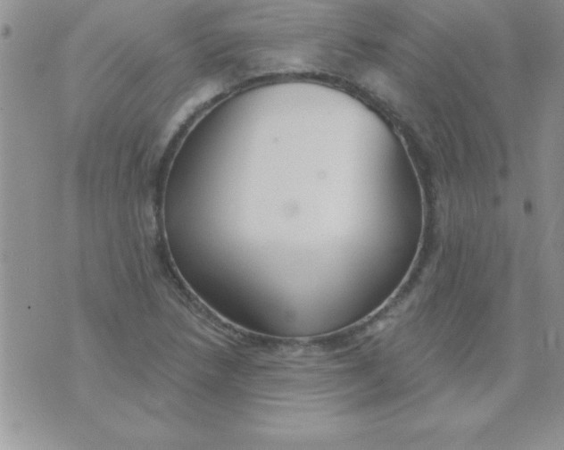 X0000071961218200607282025