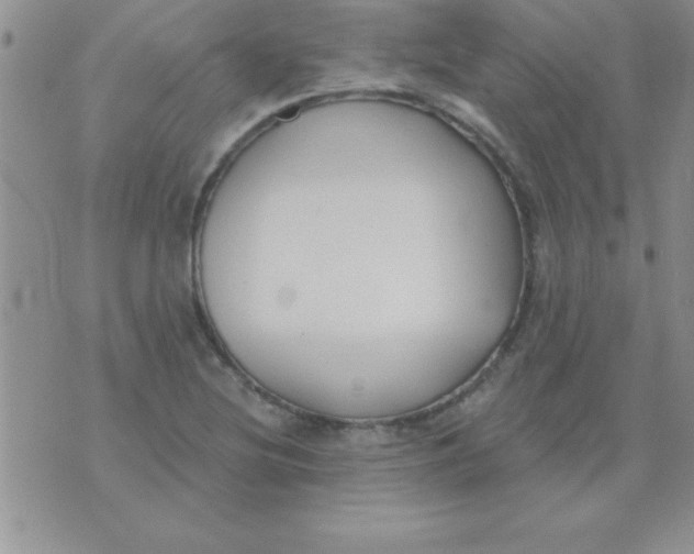 X0000071961220200607282025