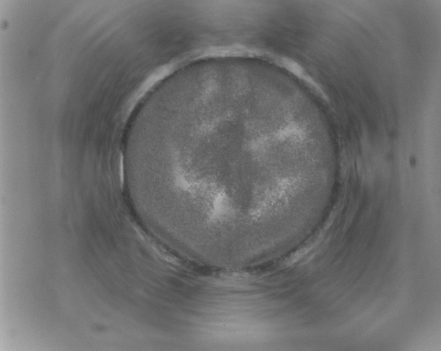 X0000071961221200607282025