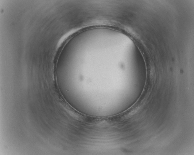 X0000071961222200607282025