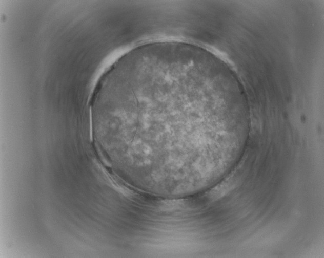 X0000071961223200607282025