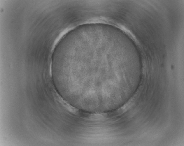 X0000071961224200607282025