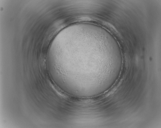 X0000071961225200607282025