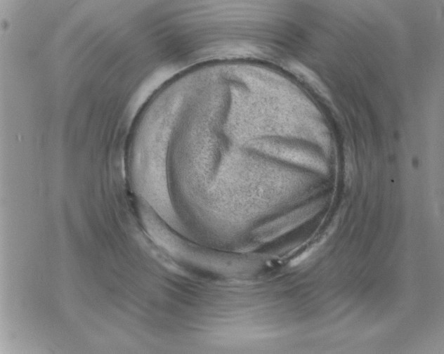 X0000071961226200607282025