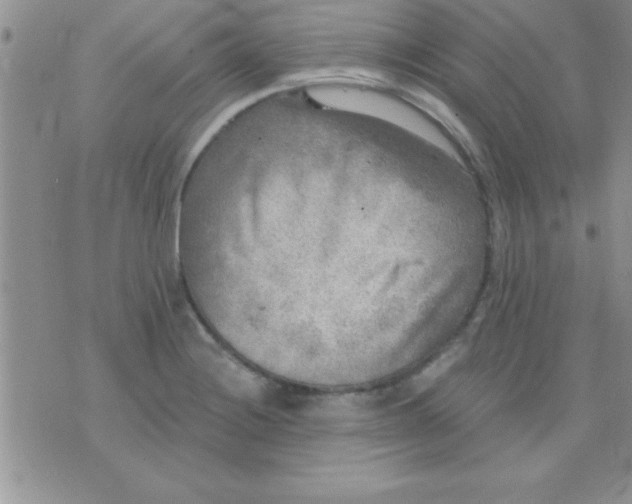 X0000071961228200607282025