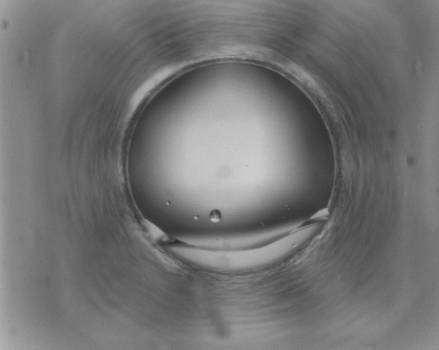 X0000071961230200607282025