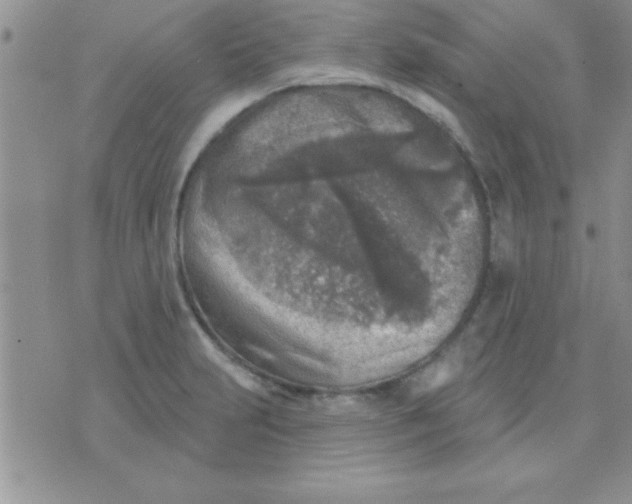 X0000071961231200607282025