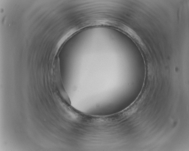 X0000071961234200607282025