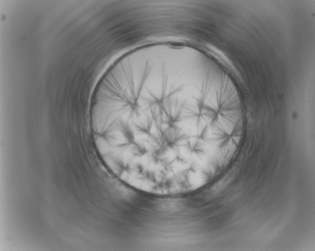 X0000071961236200607282025