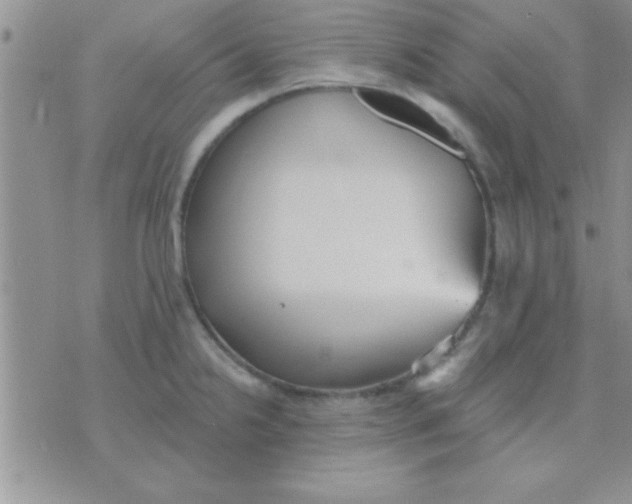 X0000071961238200607282025