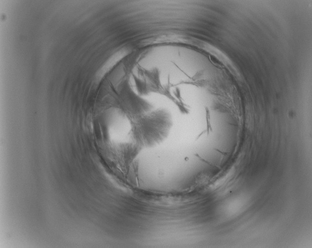 X0000071961241200607282025