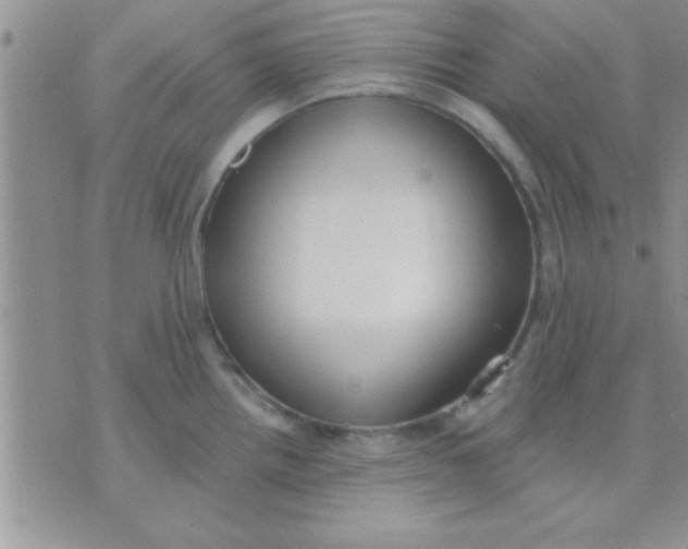 X0000071961242200607282025