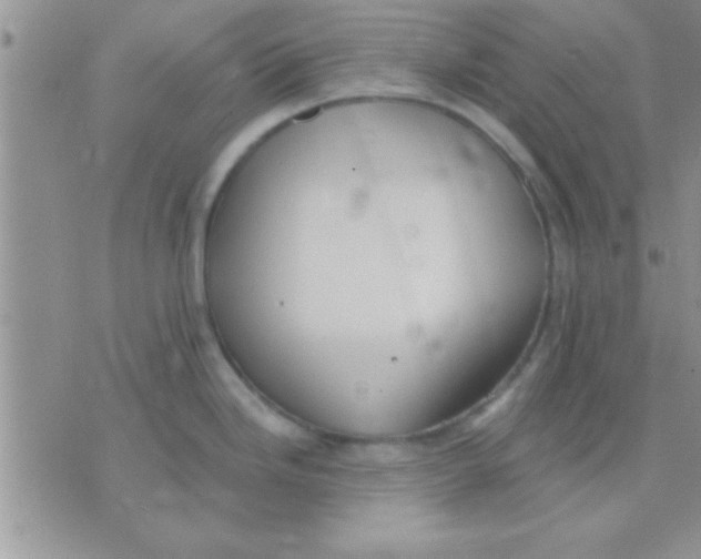 X0000071961246200607282025