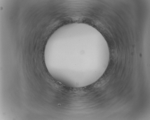 X0000071961249200607282024