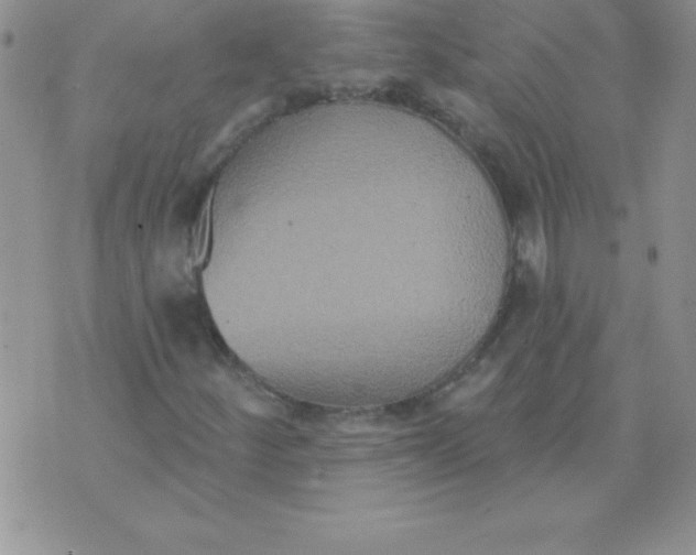 X0000071961252200607282024