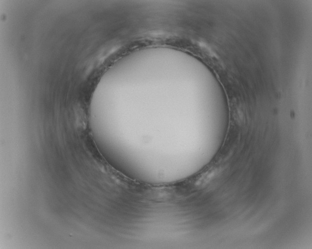 X0000071961253200607282024