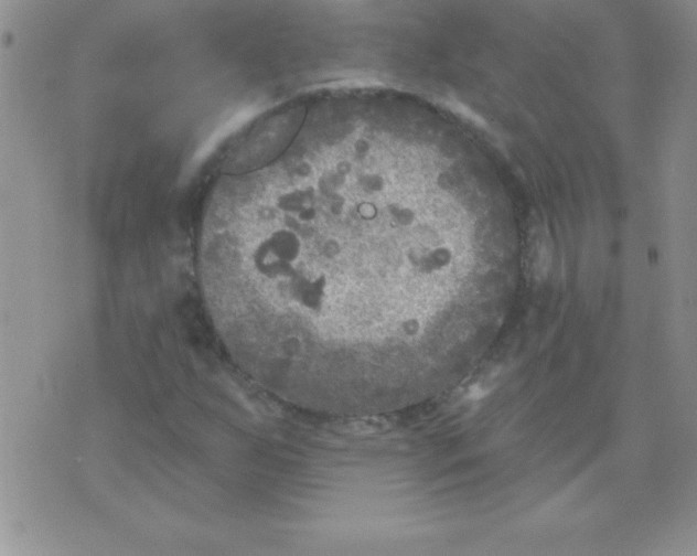 X0000071961255200607282024