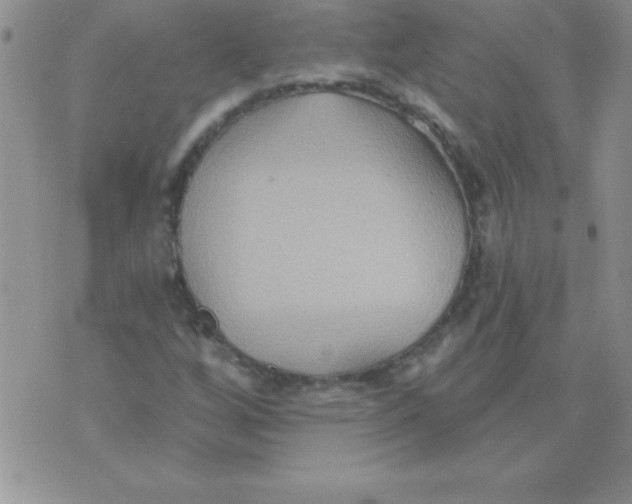 X0000071961256200607282024