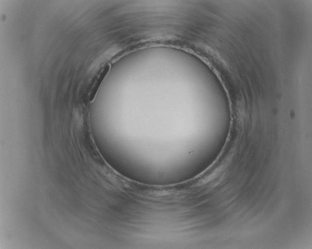 X0000071961257200607282024