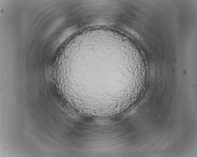 X0000071961258200607282024