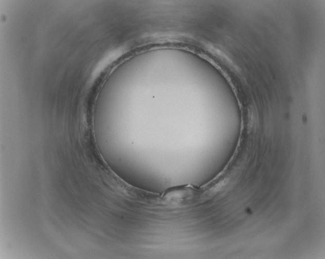 X0000071961261200607282024